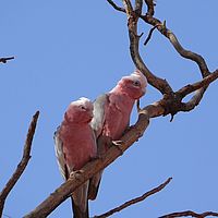 2008-11-03 08-38-10