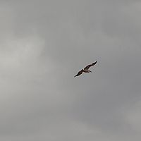 2008-11-04 09-53-43