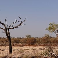 2008-11-05 08-04-48