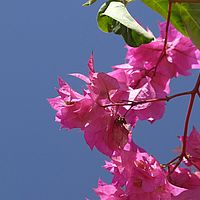 2008-11-06 10-45-16