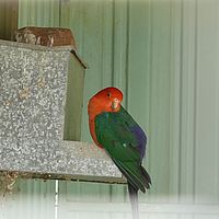 2008-11-07 13-18-10