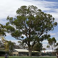 2008-11-07 13-39-18