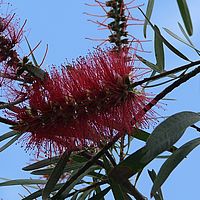 2008-11-08 14-47-41