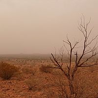 2008-11-01 10-33-11