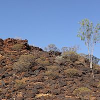 2008-11-02 17-13-34