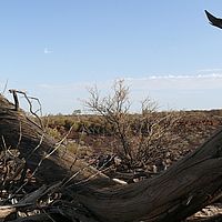 2008-11-02 17-16-53