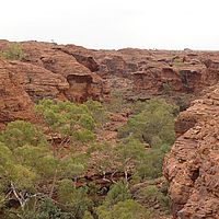 2008-11-04 08-52-47