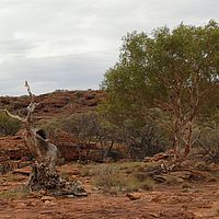 2008-11-04 08-53-18