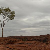 2008-11-04 09-18-01