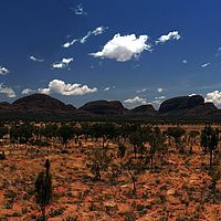 2008-11-05 11-54-33-1