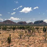 2008-11-05 11-54-33