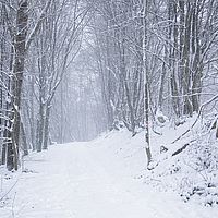 2014-12-27 14-59-41