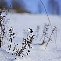 2014-12-28 11-14-42