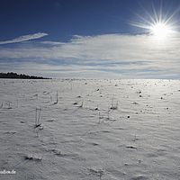 2014-12-28 11-33-13