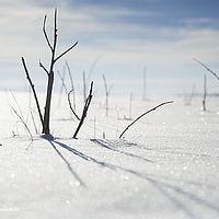 2014-12-28 11-40-02