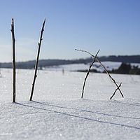 2014-12-28 11-41-16