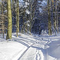 2014-12-28 11-43-19