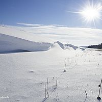2014-12-28 12-05-11