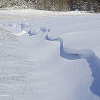 2014-12-28 12-07-44