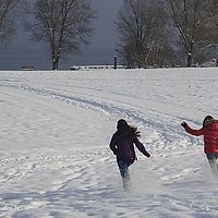 2014-12-31 11-19-48