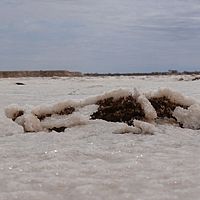 2008-11-07 11-57-53