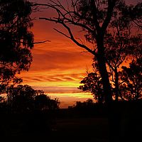 2008-11-07 19-53-37