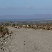 2008-11-08 08-16-55