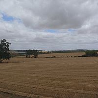 2008-11-08 12-50-00