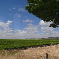 2008-11-08 14-12-35