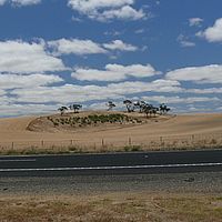 2008-11-09 12-58-21