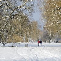 2014-12-31 11-25-03