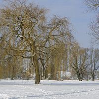 2014-12-31 11-28-51