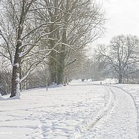 2014-12-31 11-31-19