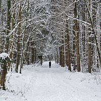 2015-01-01 12-34-05