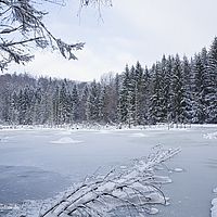 2015-01-01 12-40-50