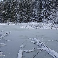 2015-01-01 12-41-18