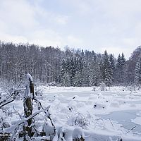 2015-01-01 12-44-21