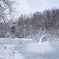 2015-01-01 12-47-52