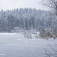 2015-01-01 12-50-29