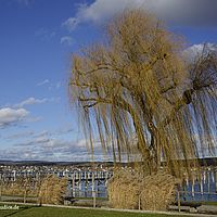2015-01-10 13-10-03