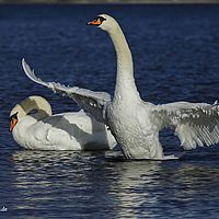 2015-01-10 13-17-22-6