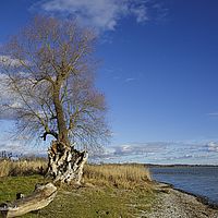 2015-01-10 14-29-09