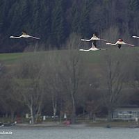 2015-01-10 15-10-04-4