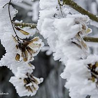 2015-02-14 09-40-36
