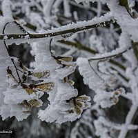 2015-02-14 09-41-21