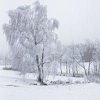 2015-02-14 09-53-02