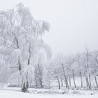2015-02-14 09-53-19