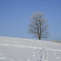 2015-02-15 09-05-08