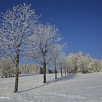 2015-02-15 09-11-38