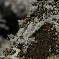 2015-02-15 09-26-22